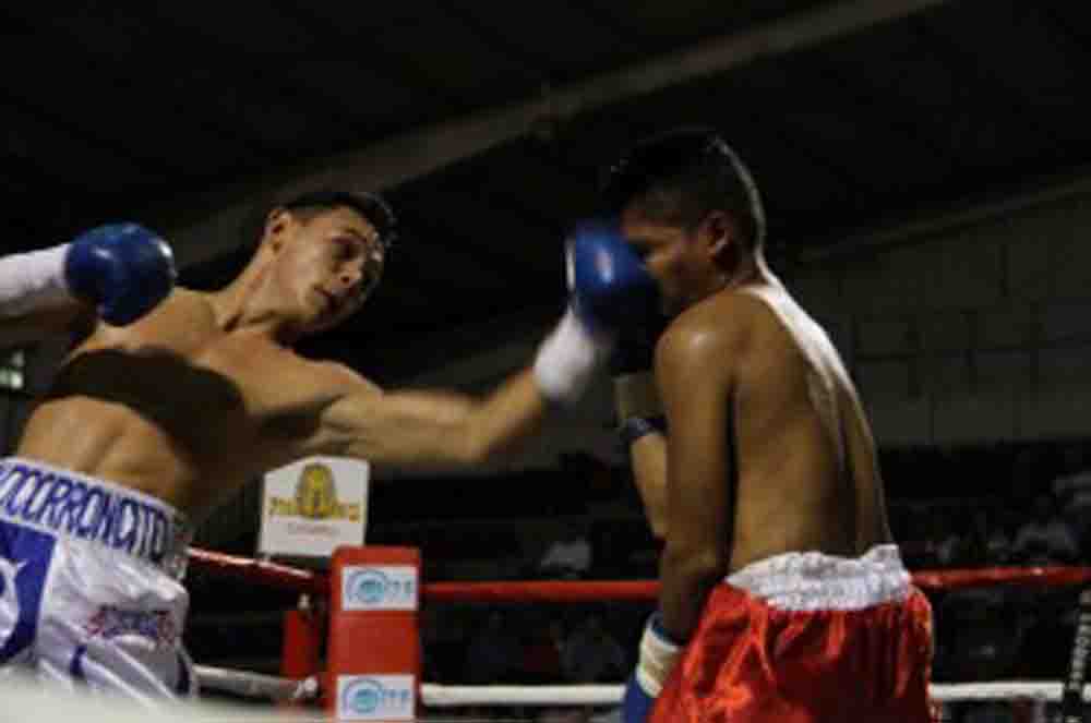 BOXEO 5