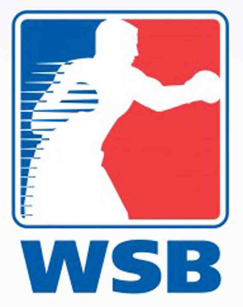 Wsb_logo