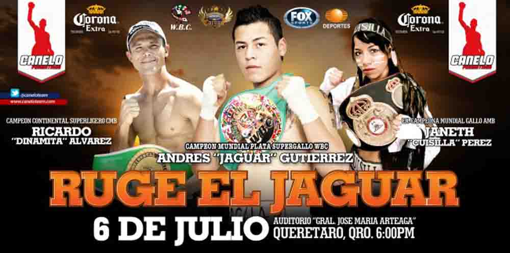 ruje el jaguar banner-julio 6-2013