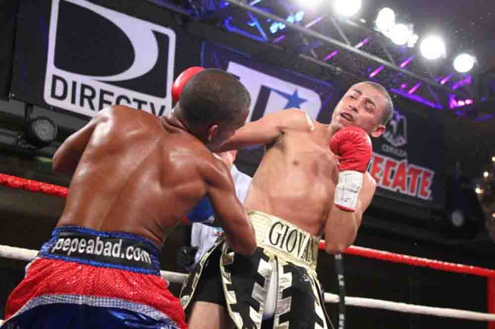 gonzalez vs segura pelea-joel colon-prbbp