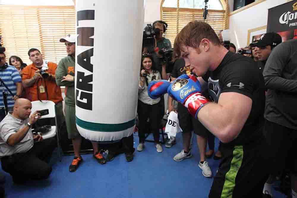 saul alvarez saco-tom hogan