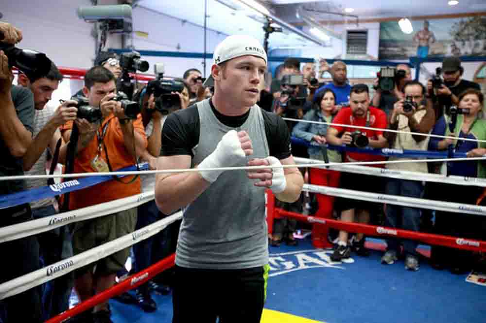 saul alvarez sombra-tom hogan