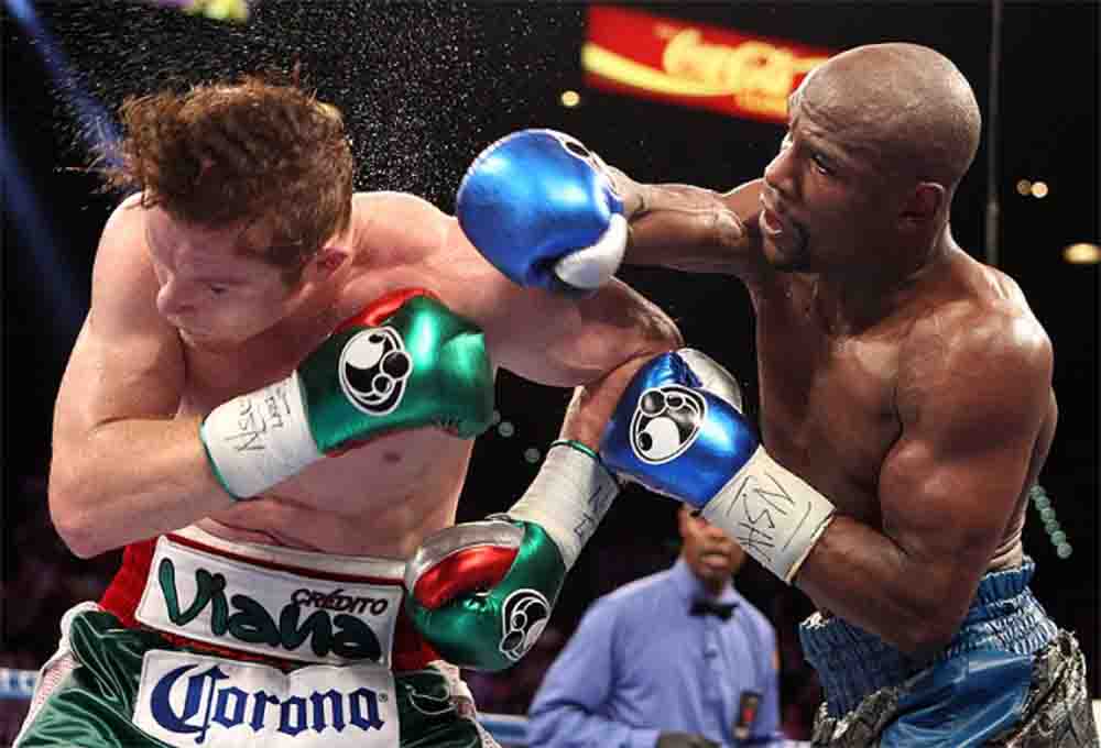 mayweather vs alvarez pelea-tom hogan-golden boy promotions