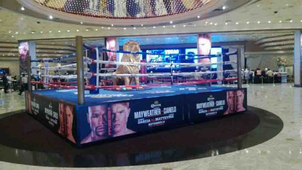 mgm arena-suministrada