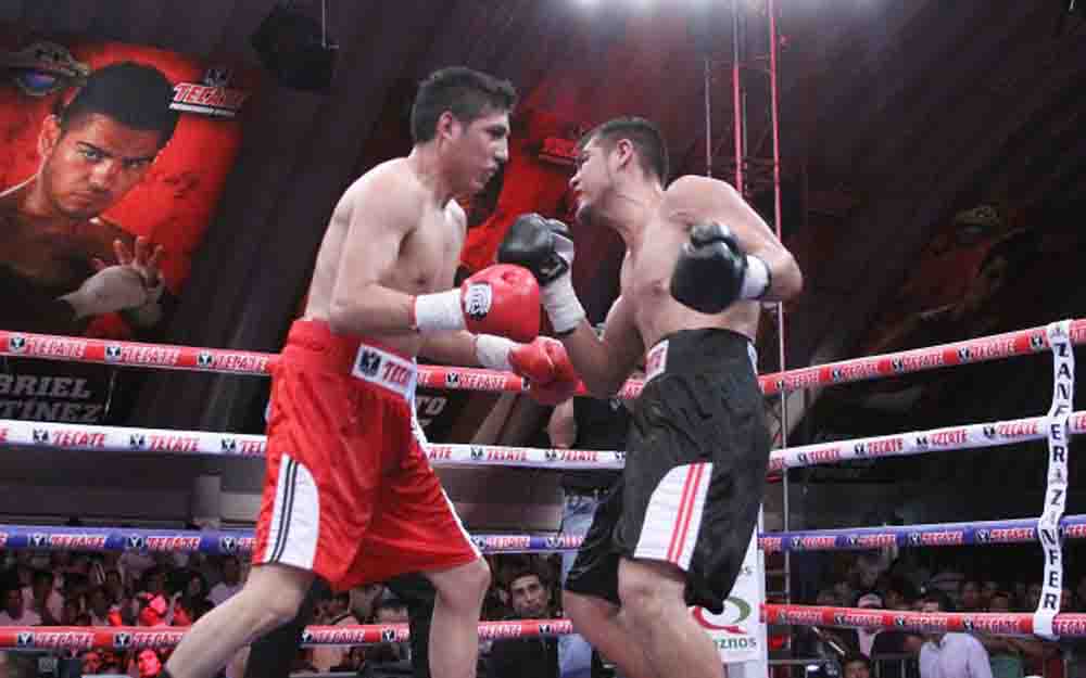 rosales vs martinez pelea-zanfer promociones