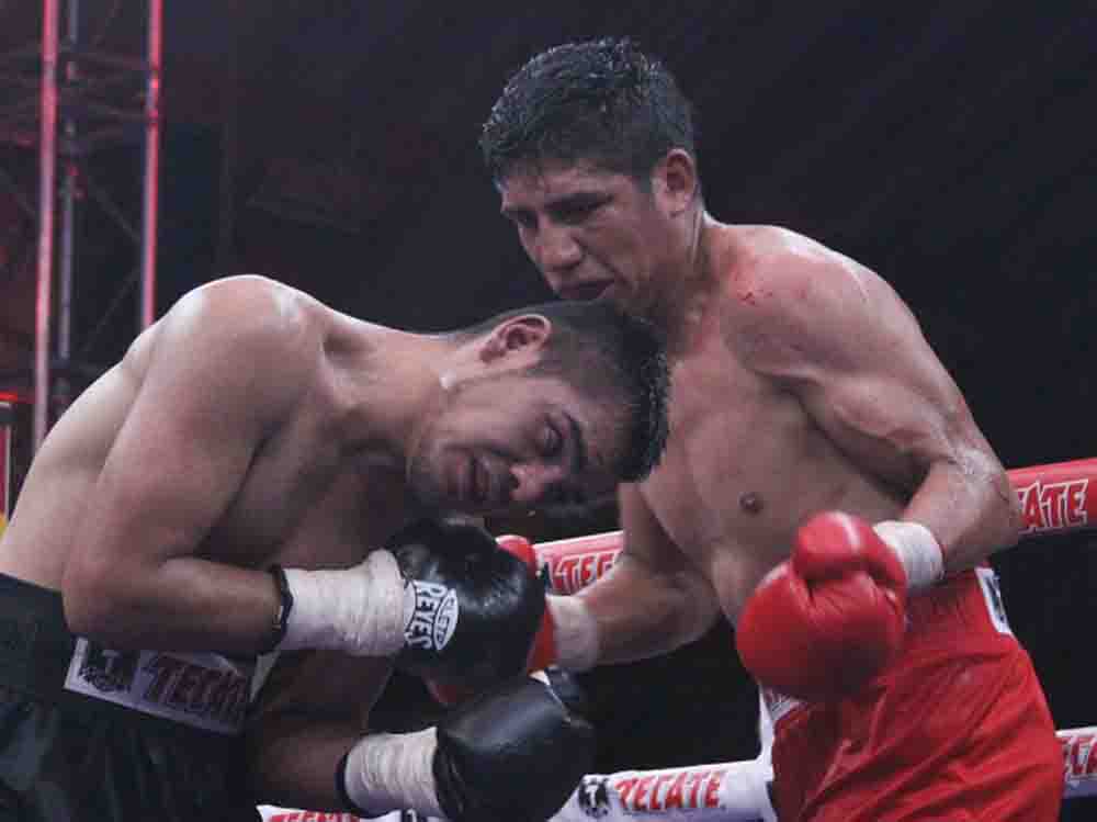 rosales vs martinez pelea2-zanfer promociones