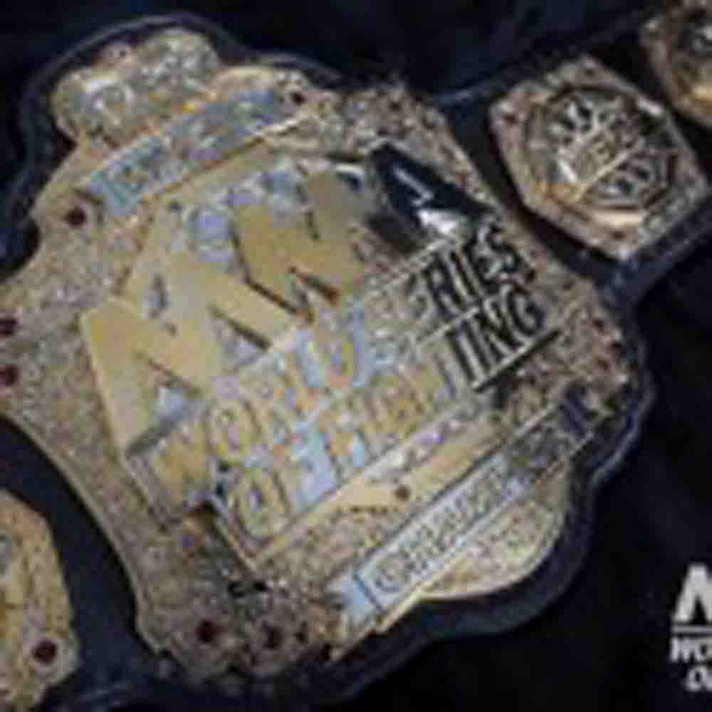 World Series of Fighting unveils inaugural championship belt