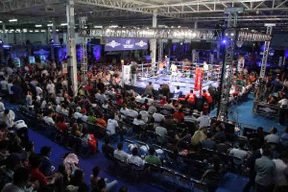 ring jalisco nueva-pdp