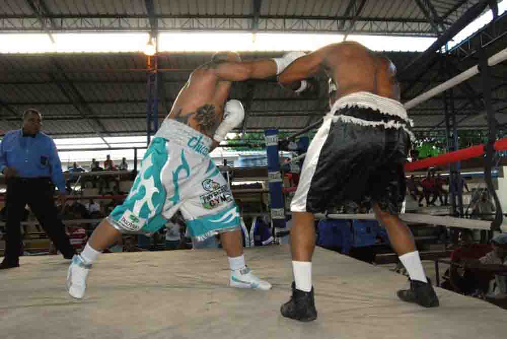 cotto vs soto pelea-pmc