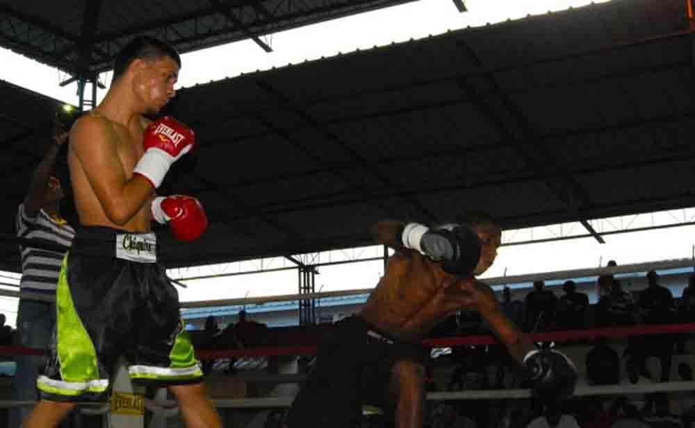 martinez vs berroa pelea-promociones miguel cotto