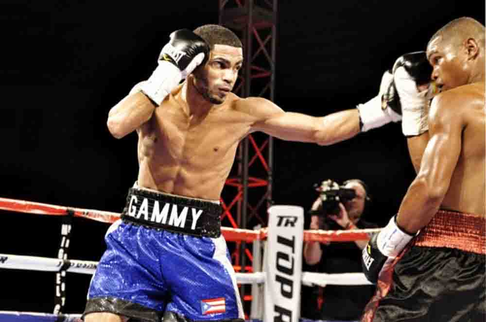 gamalier rodriguez-top rank