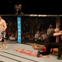 UFC FIGHT NIGHT: NOGUEIRA vs NELSON: Resultados