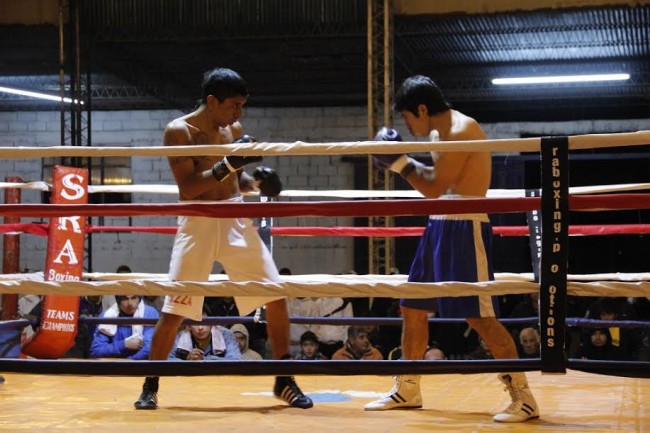 bustos vs salvatierra pelea2-sra boxing