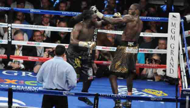 wilder vs bermane pelea jorge najera