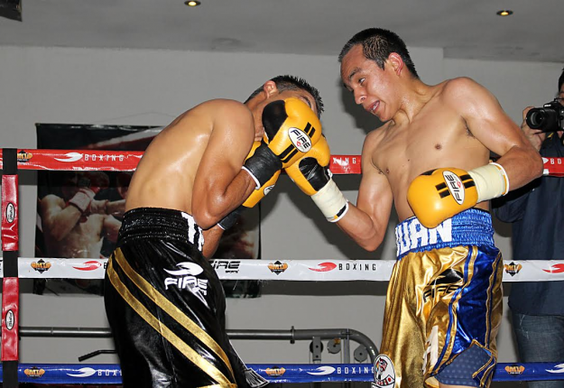 hernandez vs calleros pelea-jose a soriano