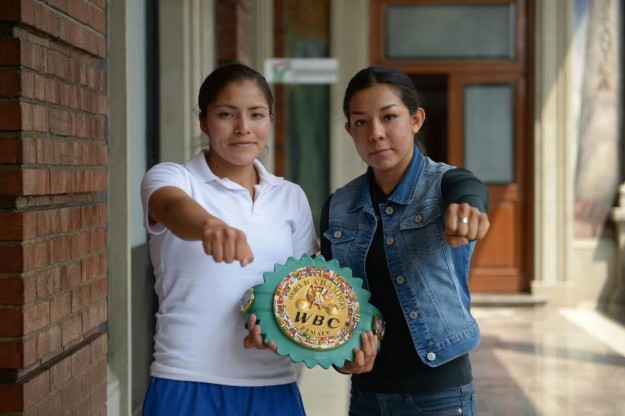 zamora vs tapia-promociones del pueblo