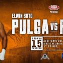 “Pulga” Soto ante su gente en Mexicali este sábado por Azteca 7, la Casa del Boxeo